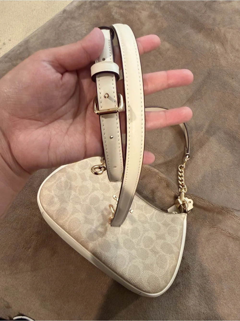 Coach signature canvas